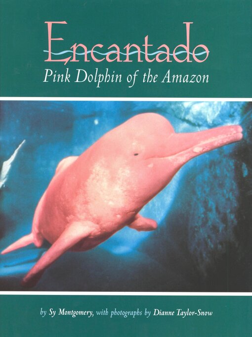 Cover image for Encantado
